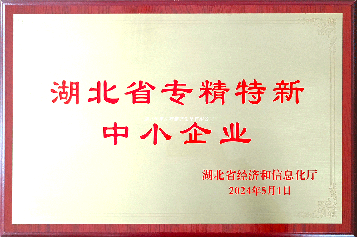 祝賀我司榮獲“湖北省專精特新中小企業(yè)”稱號(hào)！