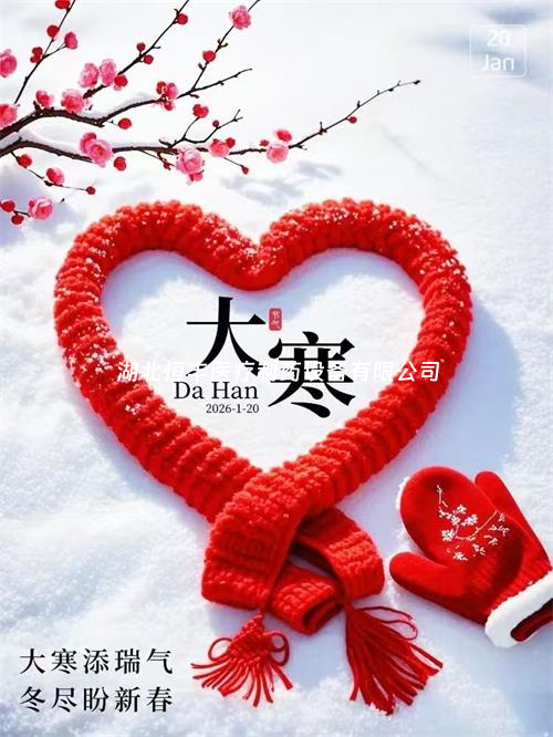 雪落大寒，蓄力待春，新歲啟新程！